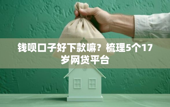钱呗口子好下款嘛？梳理5个17岁网贷平台