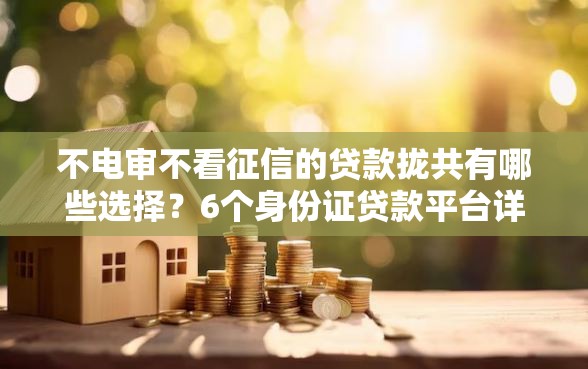 不电审不看征信的贷款拢共有哪些选择？6个身份证贷款平台详解