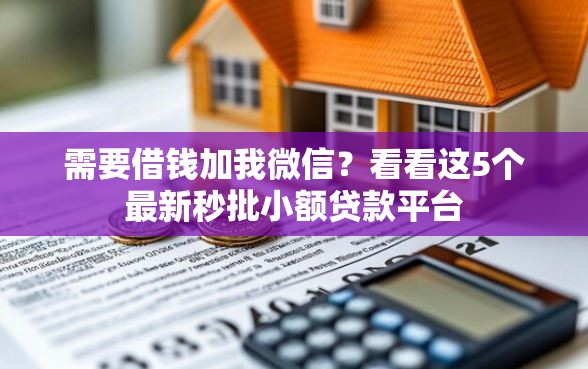需要借钱加我微信？看看这5个最新秒批小额贷款平台