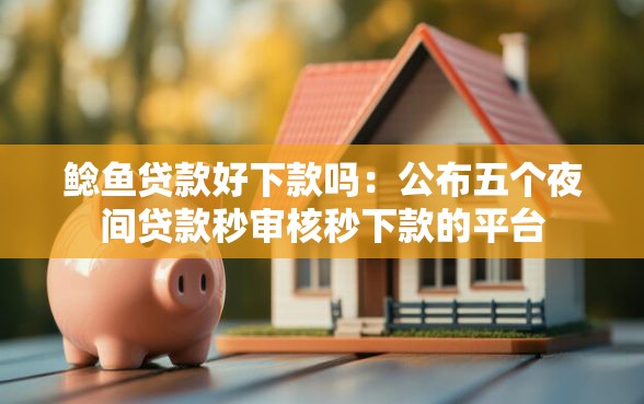 鲶鱼贷款好下款吗：公布五个夜间贷款秒审核秒下款的平台