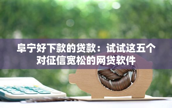 阜宁好下款的贷款：试试这五个对征信宽松的网贷软件