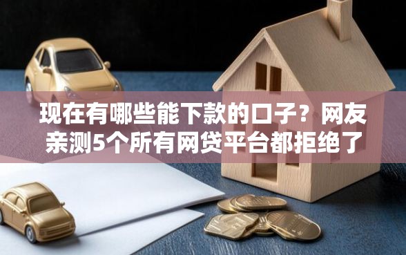 现在有哪些能下款的口子？网友亲测5个所有网贷平台都拒绝了还能借到一万的软件盘点
