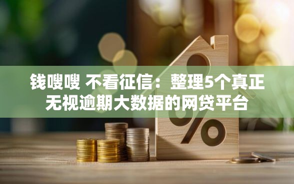 钱嗖嗖 不看征信：整理5个真正无视逾期大数据的网贷平台