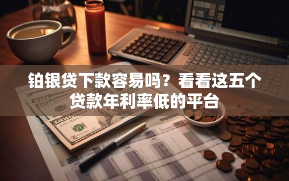 铂银贷下款容易吗？看看这五个贷款年利率低的平台