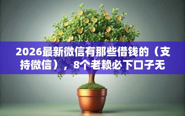2026最新微信有那些借钱的（支持微信），8个老赖必下口子无私分享