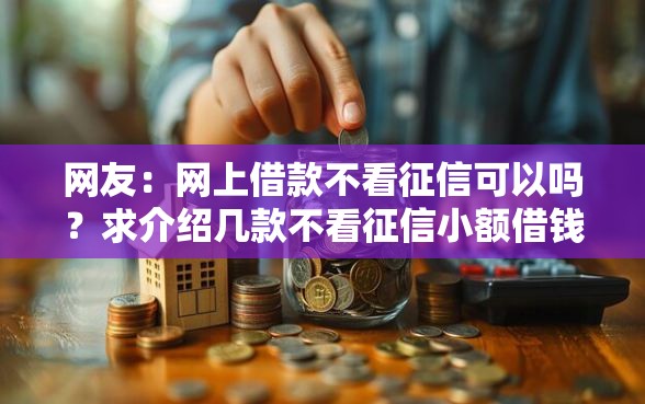 网友：网上借款不看征信可以吗？求介绍几款不看征信小额借钱的平台