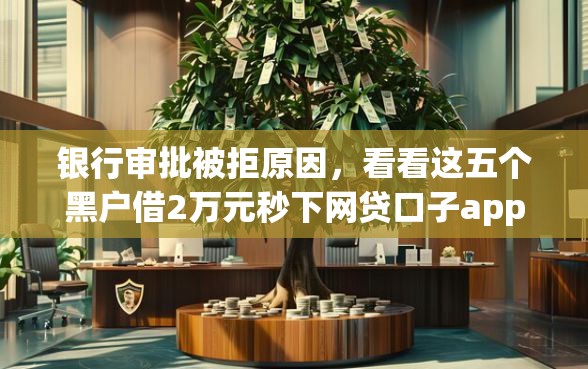银行审批被拒原因，看看这五个黑户借2万元秒下网贷口子app