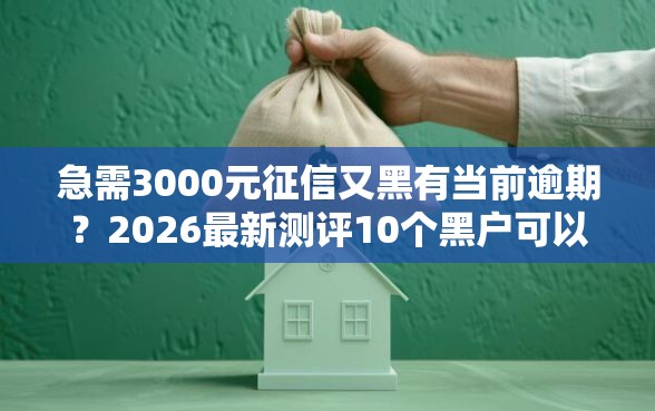 急需3000元征信又黑有当前逾期？2026最新测评10个黑户可以在平台上借到钱