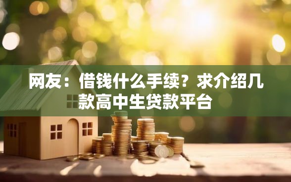 网友：借钱什么手续？求介绍几款高中生贷款平台