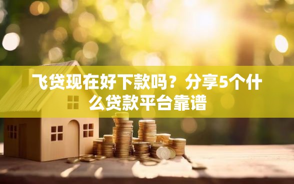 飞贷现在好下款吗？分享5个什么贷款平台靠谱