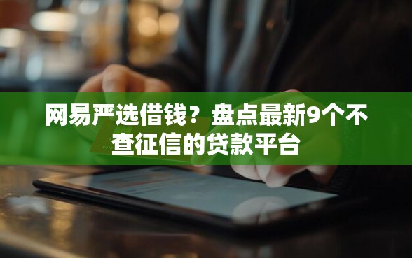 网易严选借钱？盘点最新9个不查征信的贷款平台