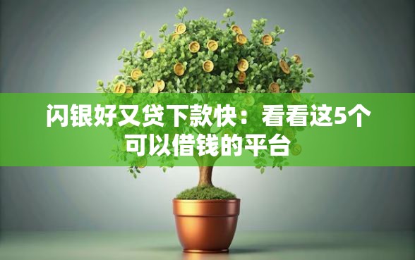 闪银好又贷下款快：看看这5个可以借钱的平台