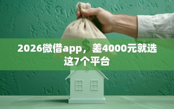 2026微借app，差4000元就选这7个平台