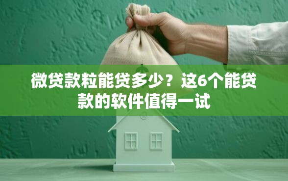 微贷款粒能贷多少？这6个能贷款的软件值得一试