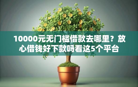 10000元无门槛借款去哪里？放心借钱好下款吗看这5个平台