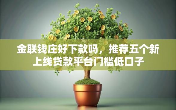 金联钱庄好下款吗，推荐五个新上线贷款平台门槛低口子