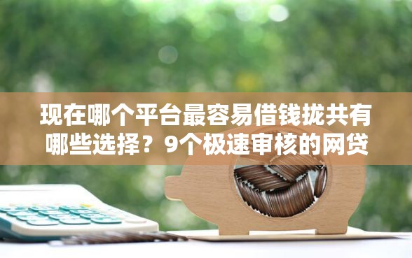 现在哪个平台最容易借钱拢共有哪些选择？9个极速审核的网贷口子详解