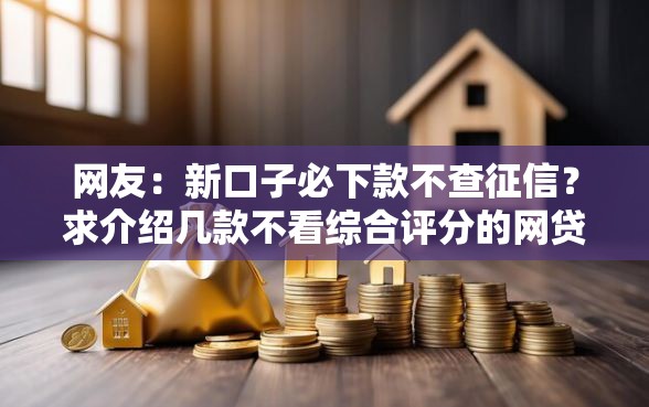 网友：新口子必下款不查征信？求介绍几款不看综合评分的网贷
