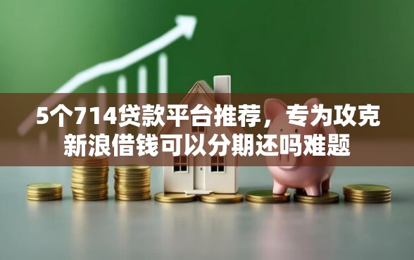 5个714贷款平台推荐，专为攻克新浪借钱可以分期还吗难题