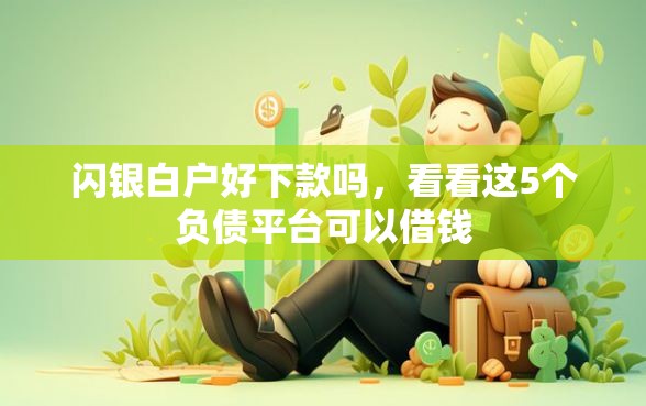 闪银白户好下款吗，看看这5个负债平台可以借钱