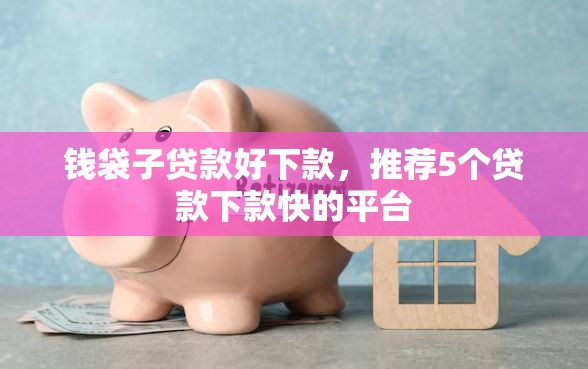 钱袋子贷款好下款，推荐5个贷款下款快的平台