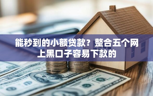 能秒到的小额贷款？整合五个网上黑口子容易下款的