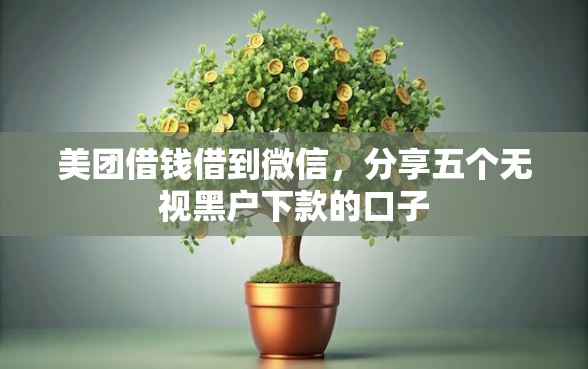 美团借钱借到微信，分享五个无视黑户下款的口子