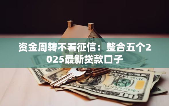 资金周转不看征信：整合五个2025最新贷款口子