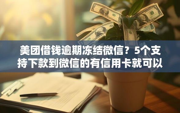美团借钱逾期冻结微信？5个支持下款到微信的有信用卡就可以贷款的平台