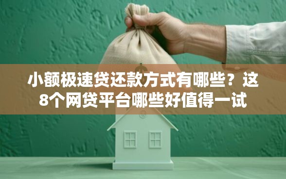 小额极速贷还款方式有哪些？这8个网贷平台哪些好值得一试