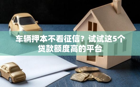 车辆押本不看征信？试试这5个贷款额度高的平台