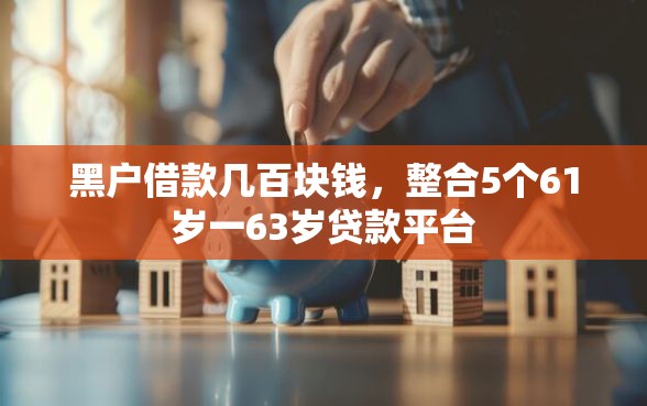 黑户借款几百块钱，整合5个61岁一63岁贷款平台