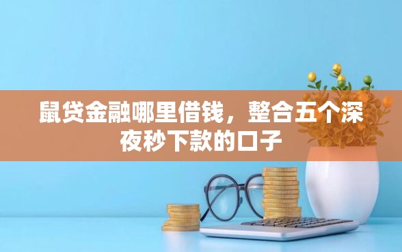 鼠贷金融哪里借钱，整合五个深夜秒下款的口子