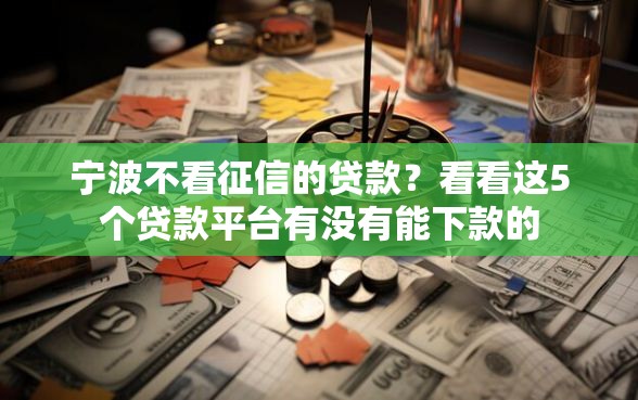 宁波不看征信的贷款？看看这5个贷款平台有没有能下款的