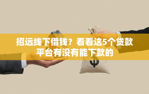 招远线下借钱？看看这5个贷款平台有没有能下款的