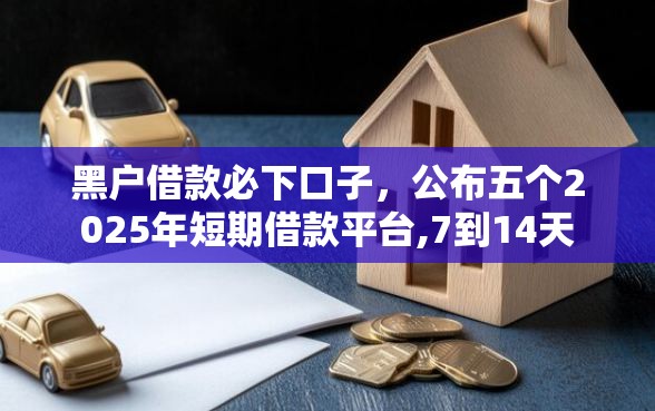 黑户借款必下口子，公布五个2025年短期借款平台,7到14天