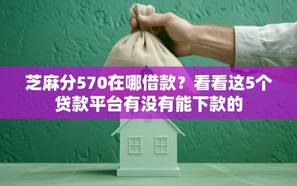 芝麻分570在哪借款？看看这5个贷款平台有没有能下款的