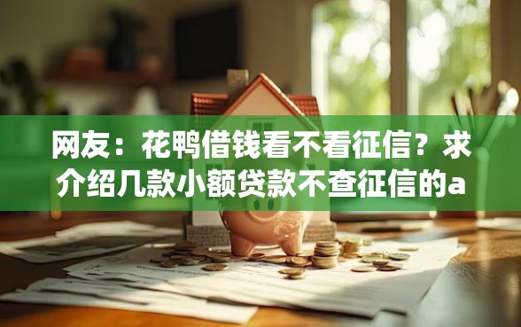 网友：花鸭借钱看不看征信？求介绍几款小额贷款不查征信的app