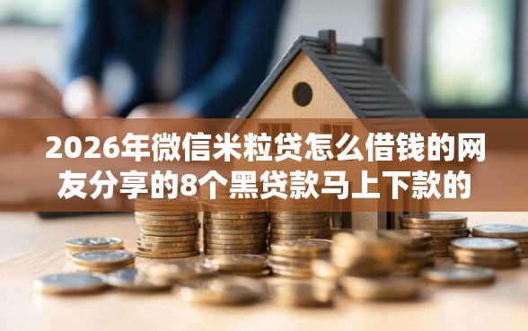 2026年微信米粒贷怎么借钱的网友分享的8个黑贷款马上下款的口子2025我觉得不错！