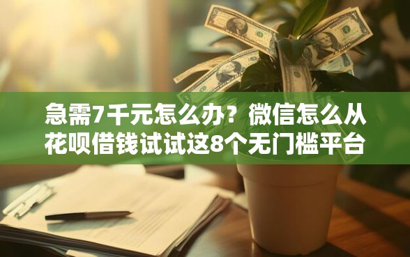 急需7千元怎么办？微信怎么从花呗借钱试试这8个无门槛平台