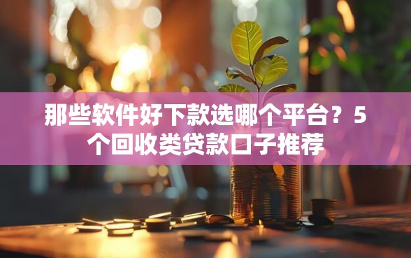 那些软件好下款选哪个平台？5个回收类贷款口子推荐