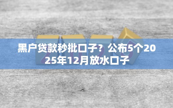 黑户贷款秒批口子？公布5个2025年12月放水口子