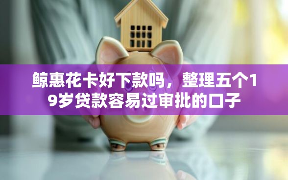 鲸惠花卡好下款吗，整理五个19岁贷款容易过审批的口子
