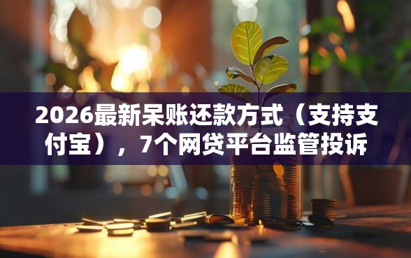 2026最新呆账还款方式（支持支付宝），7个网贷平台监管投诉电话无私分享