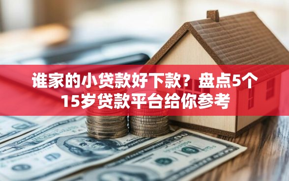 谁家的小贷款好下款？盘点5个15岁贷款平台给你参考