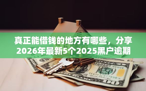 真正能借钱的地方有哪些，分享2026年最新5个2025黑户逾期百分百能下款的口子