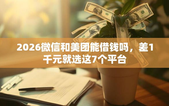 2026微信和美团能借钱吗，差1千元就选这7个平台