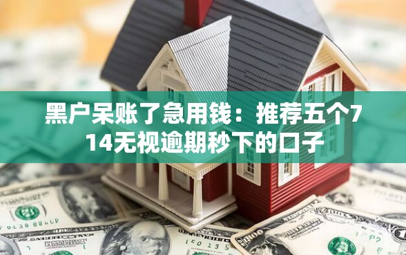 黑户呆账了急用钱：推荐五个714无视逾期秒下的口子