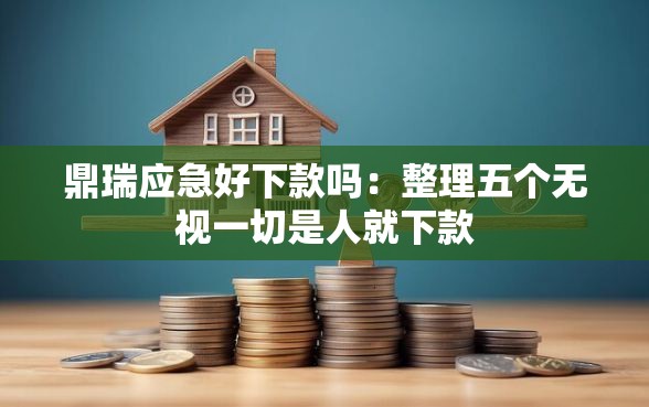 鼎瑞应急好下款吗：整理五个无视一切是人就下款