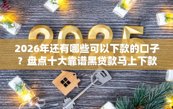 2026年还有哪些可以下款的口子？盘点十大靠谱黑贷款马上下款的口子